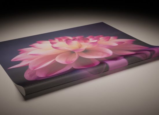 PVC Mesh Werbebanner, Bannerdruck Titelbild